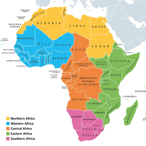 Link Building Agency in Africa