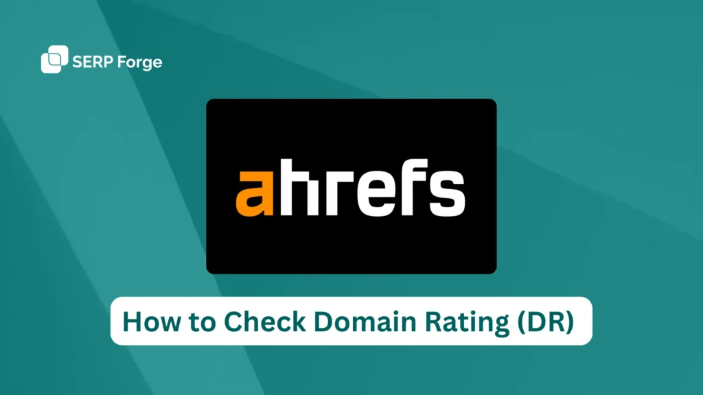 How to Check Your Domain Rating (DR)