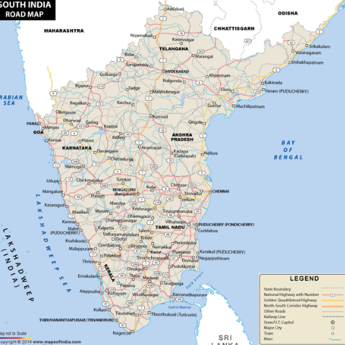 Link Building Agency in South