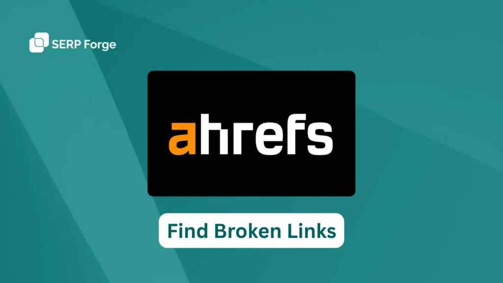 Find Broken Links