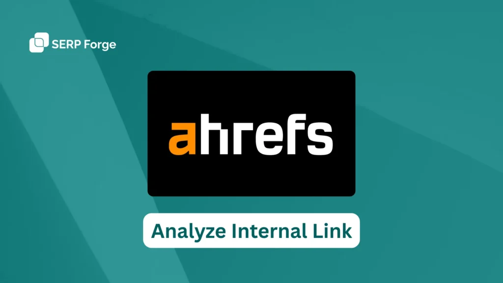 Analyze Internal Link