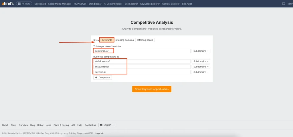 Website and Competitors
