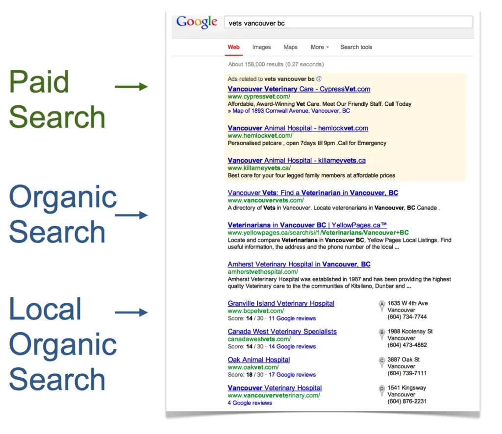 Organic Search